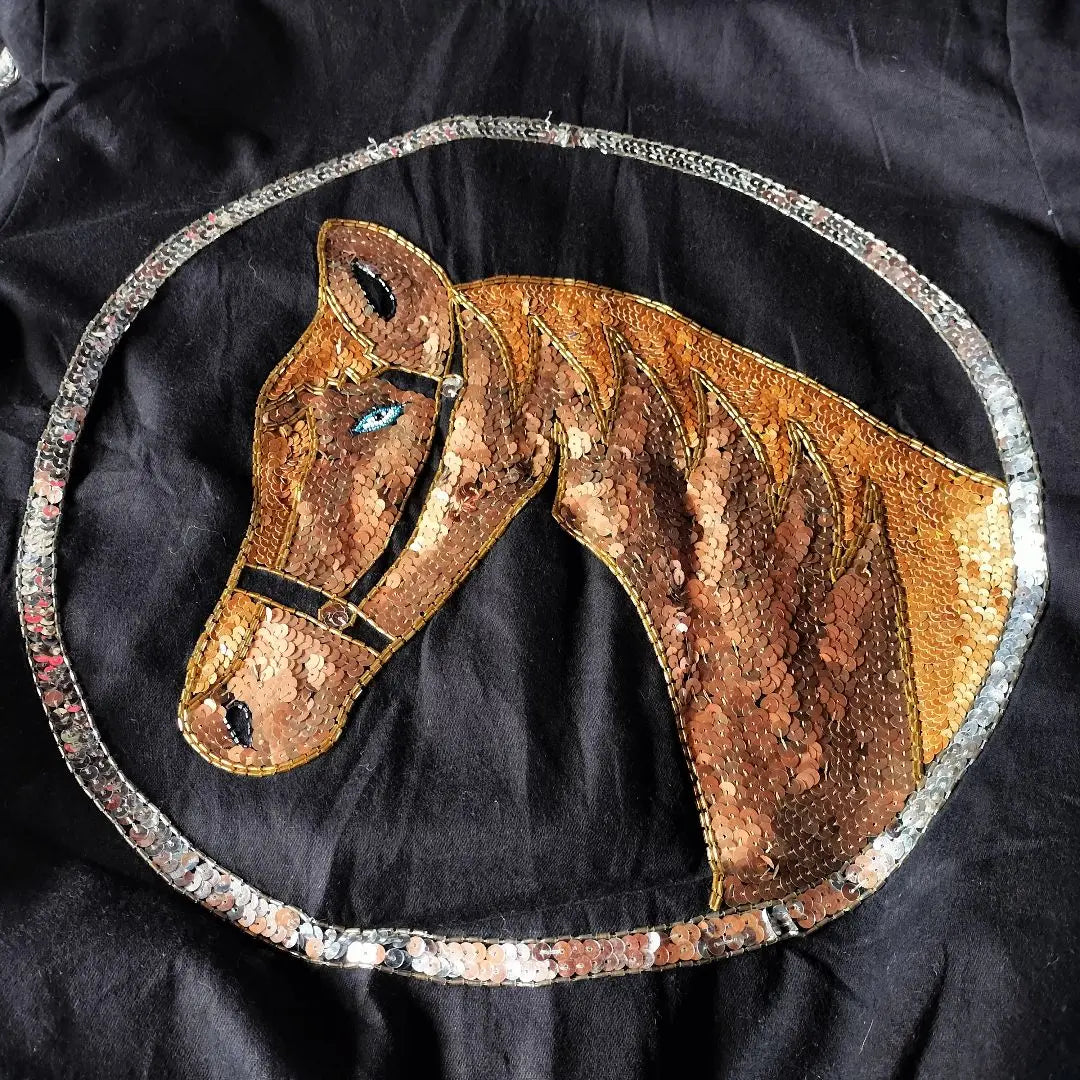 Used clothing, dead stock, horse, hose, sequin, handmade blouson, S