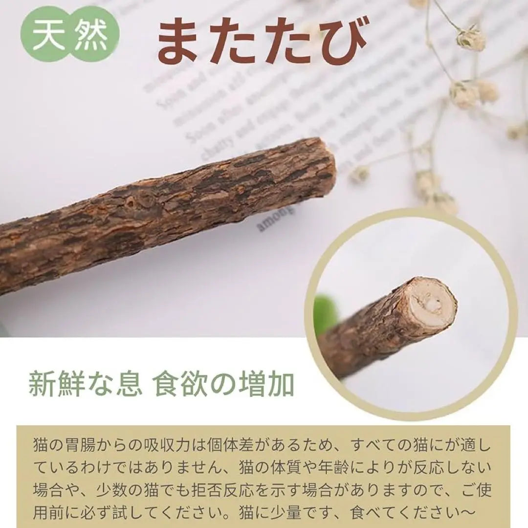 Cat chewing toy Matatabi Cat teeth grinding stick Natural wood Additive-free Safety