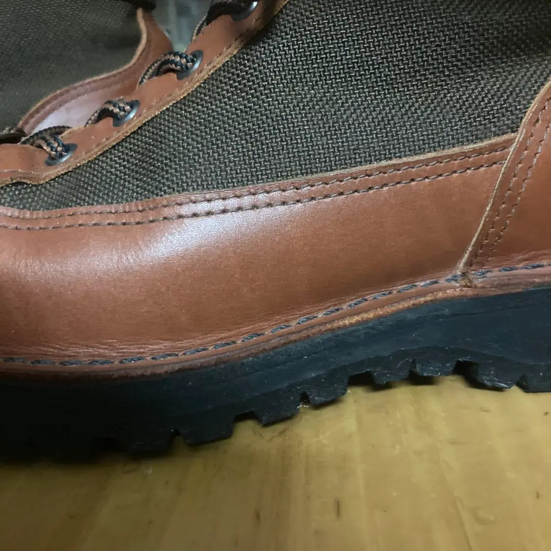 Danner Light