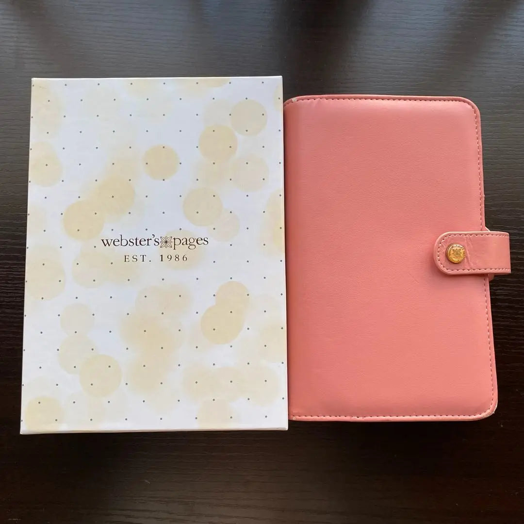 webster's pages system notebook pink with box