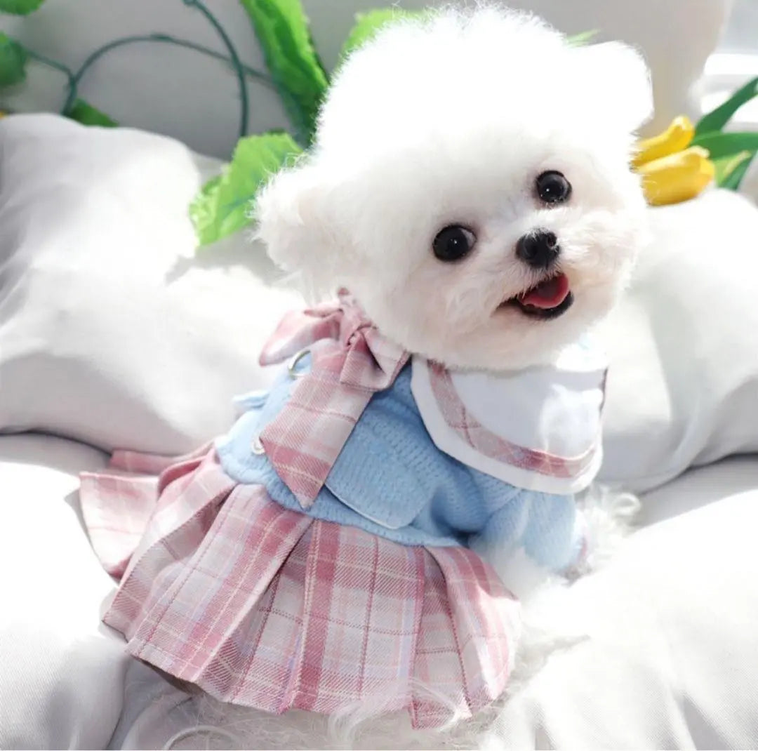 [Try on only] Light blue and pink checkered dog clothes M size