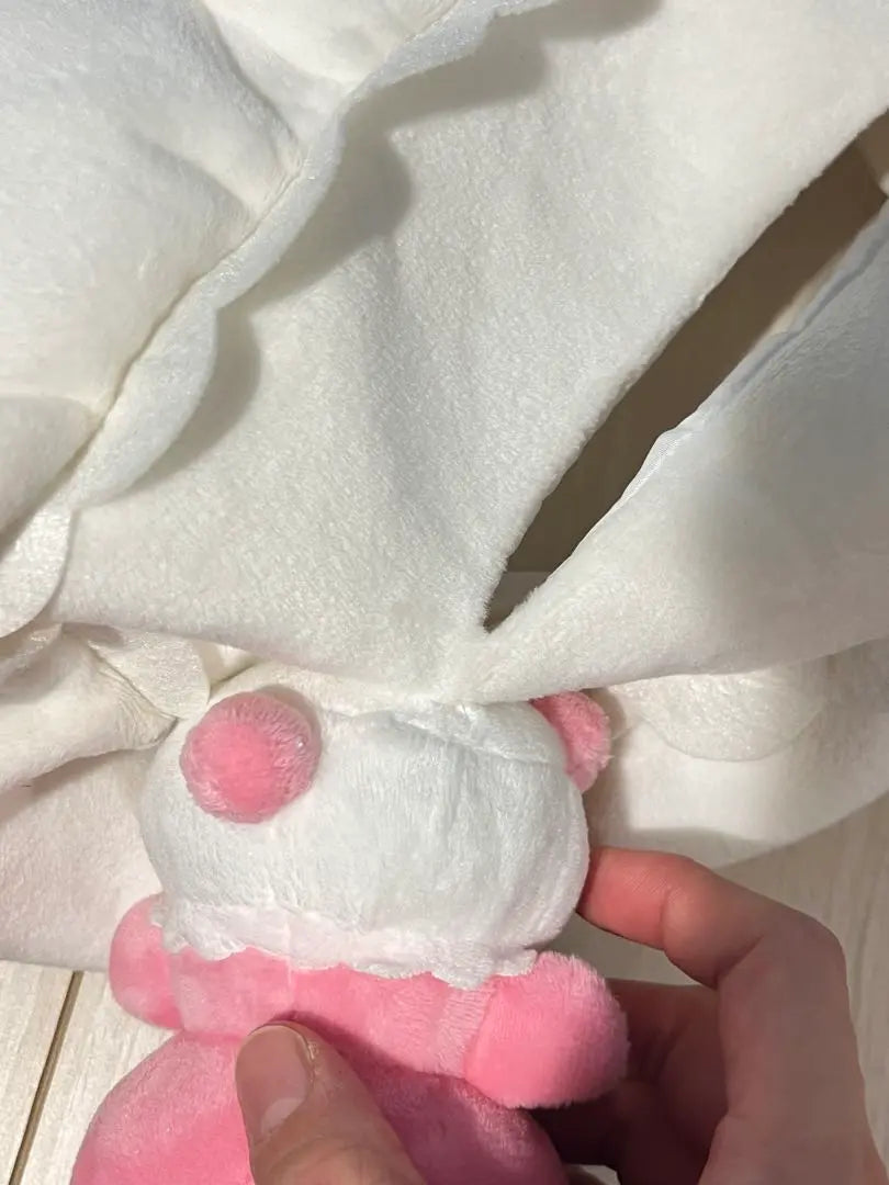 Panties / Tissue cover + stuffed animal / *Shipping included / Poor!