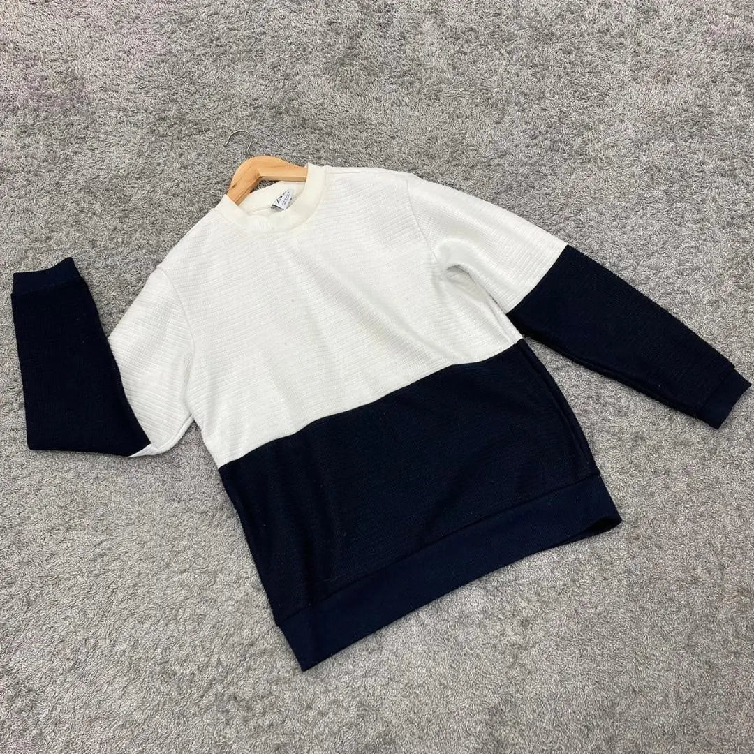 ✨ZARA✨ZARA♡Knit♡Sweater♡Bicolor♡White♡Navy♡Men's(M)