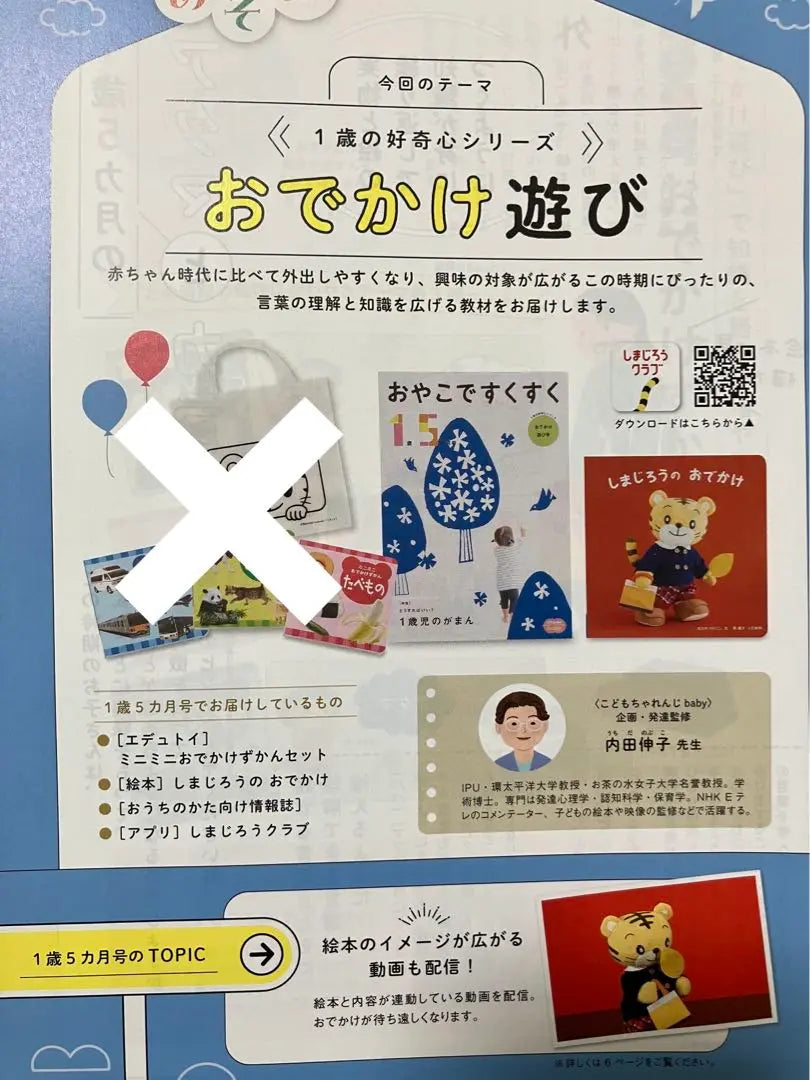 Venta al por mayor de bebés de Children's Challenge | こどもちゃれんじbebé まとめ売り