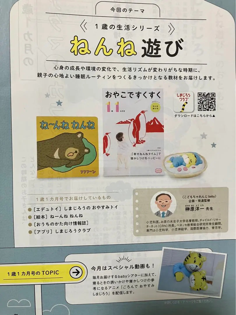 Venta al por mayor de bebés de Children's Challenge | こどもちゃれんじbebé まとめ売り