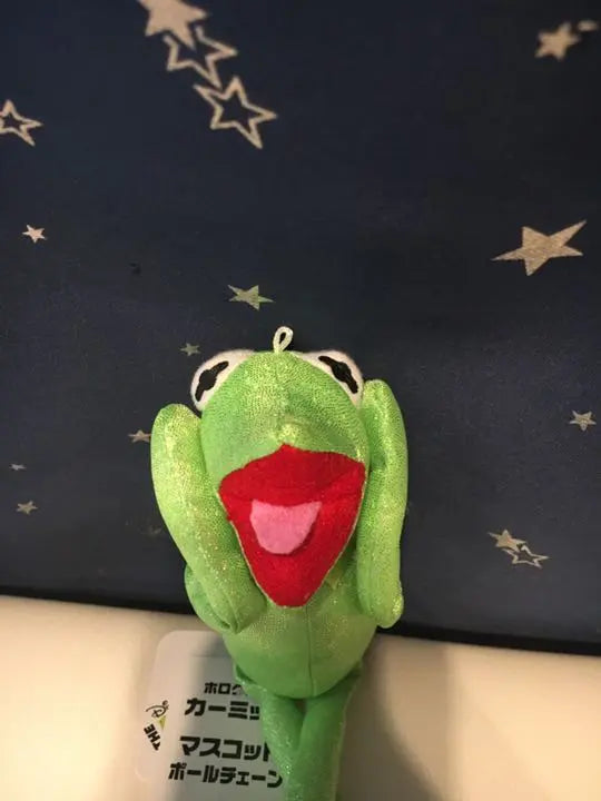 2 8/13 Mascot Keychain Plush toy Kermit