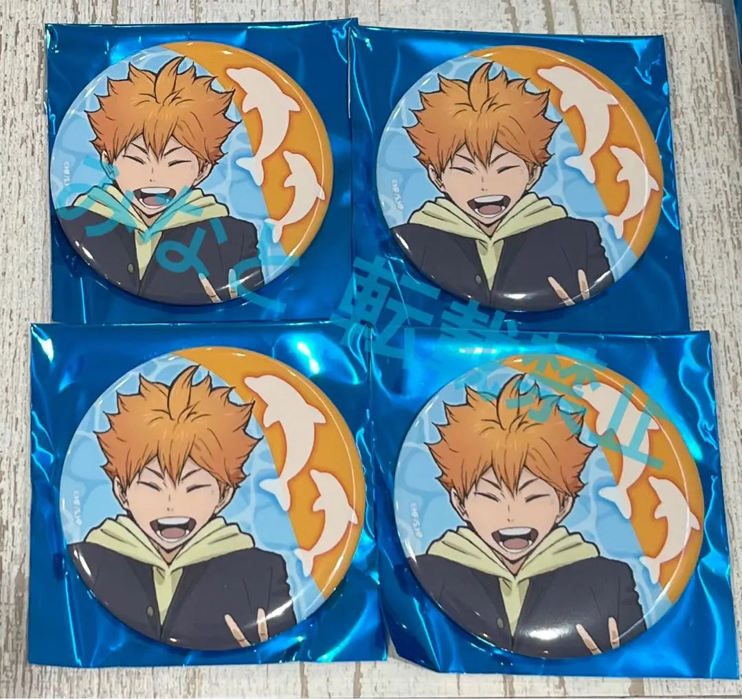 Haikyu Hakkeijima Stamp Rally Can Badge Hinata Shoyo 4 pieces