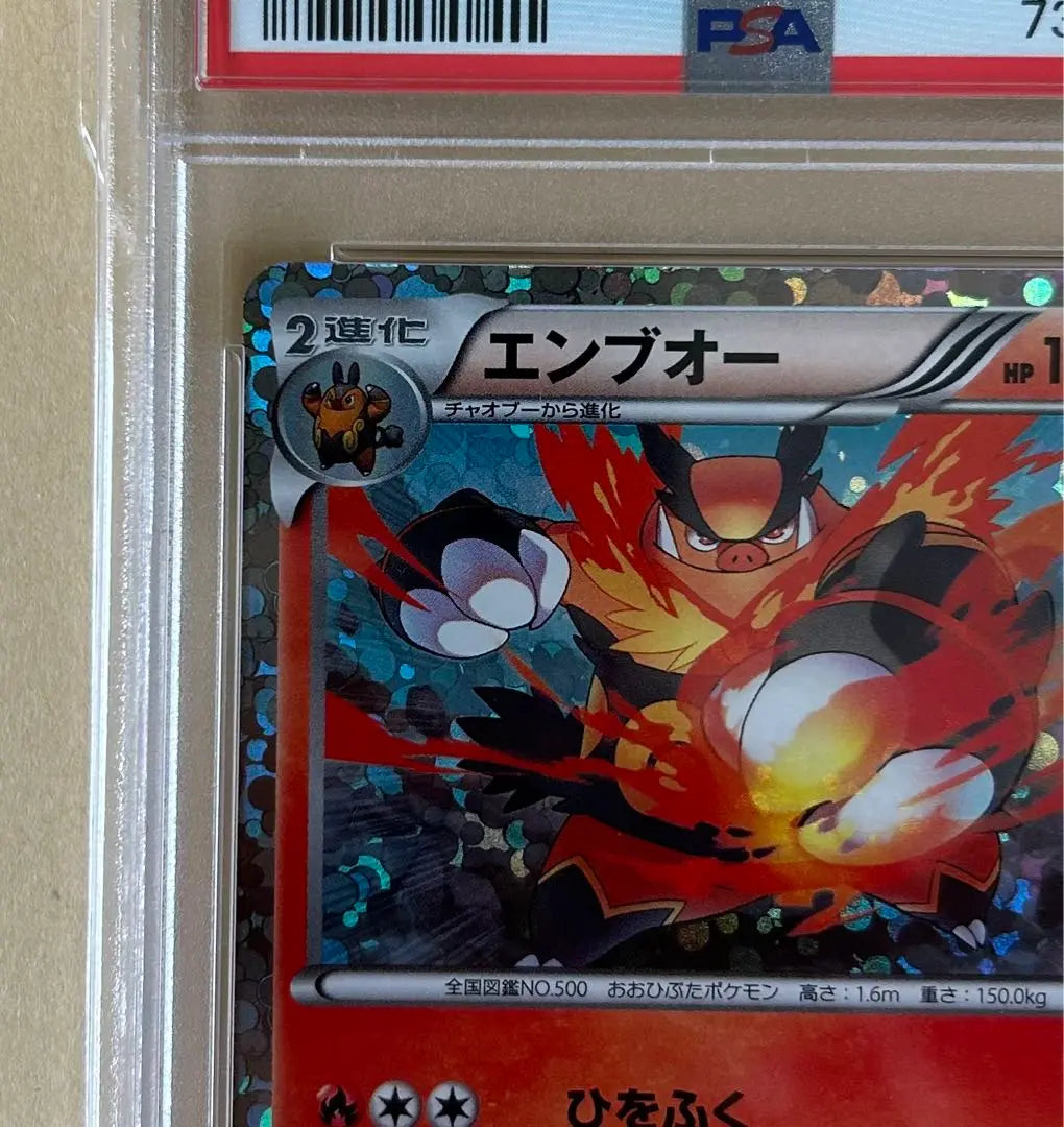 Good condition/PSA10 Emboo HSZ Holo/marked