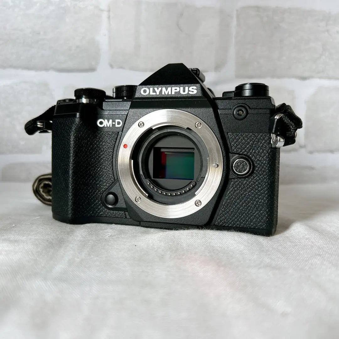 ⭐【Olympus OMD E-M5 Mark III Mirrorless Single Lens Camera】⭐