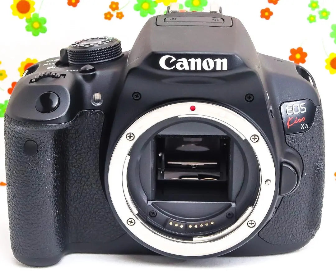 Canon Canon EOS Kiss X7i ☆ ¡Función de vídeo de alto rendimiento! ☆ Transferir a teléfono inteligente ☆ | キャノン Canon EOS Kiss X7i☆高性能映像機能！☆スマホに転送☆