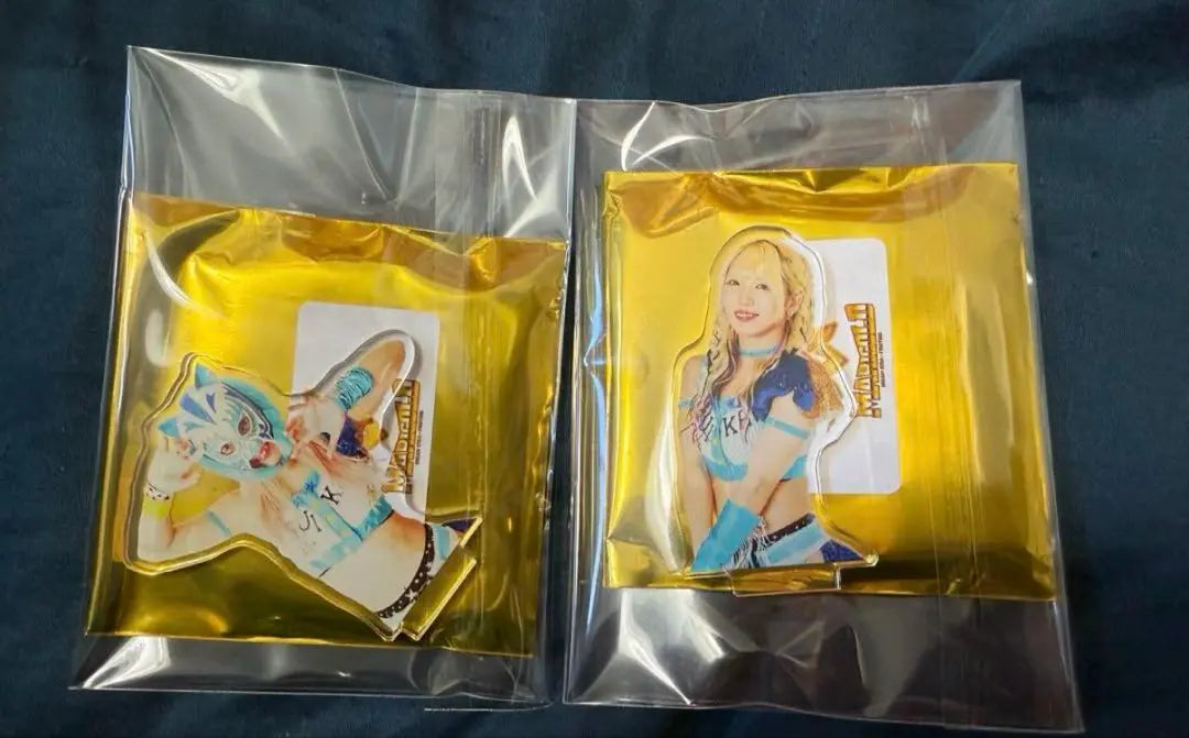 Women's Pro Wrestling Marigold Random Acsta 03 Edition Matsui Susa Acrylic Stand