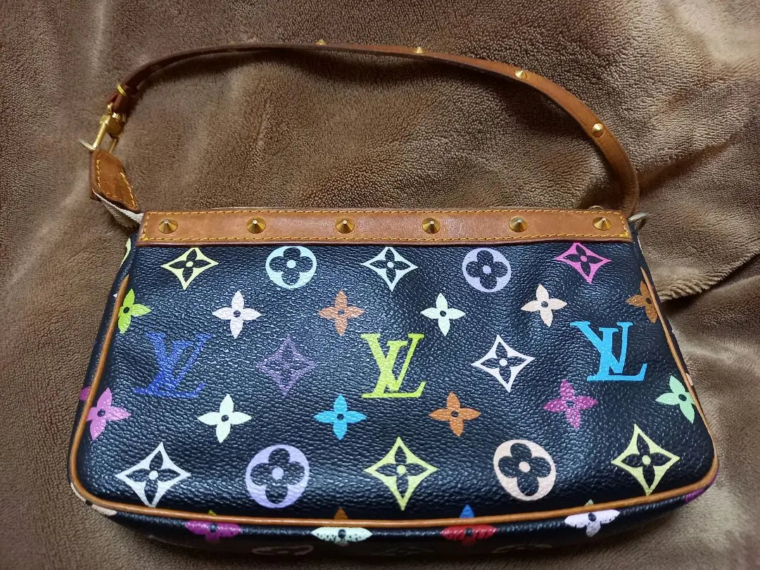 Louis Vuitton Multicolor Pochette Accessory Pouch Bag