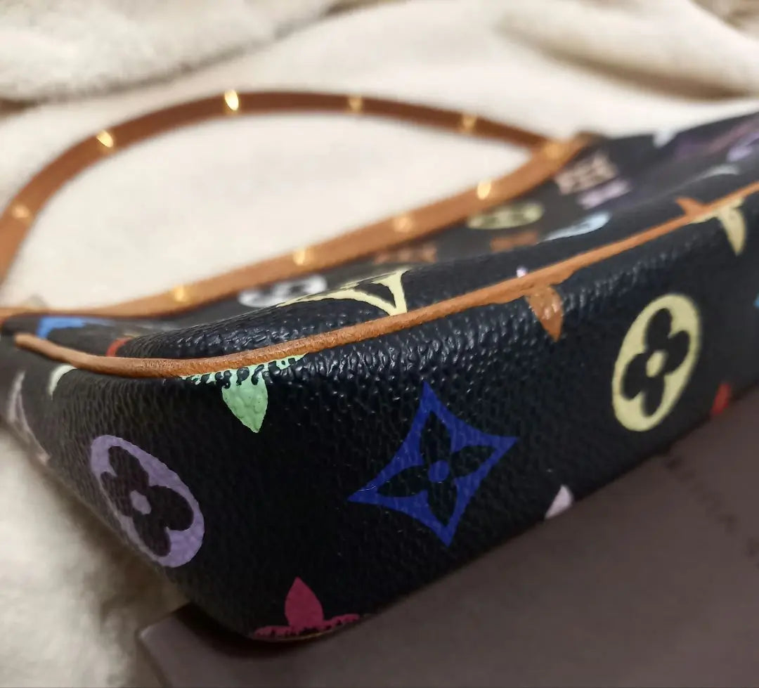 Louis Vuitton Multicolor Pochette Accessory Pouch Bag