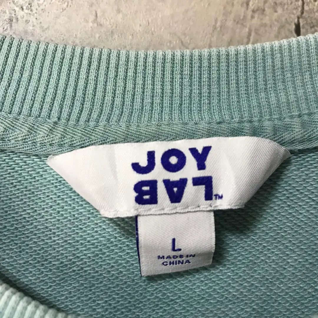 Y3631 Vintage Sweatshirt Sweatshirt Mint Plain 90s Y2K