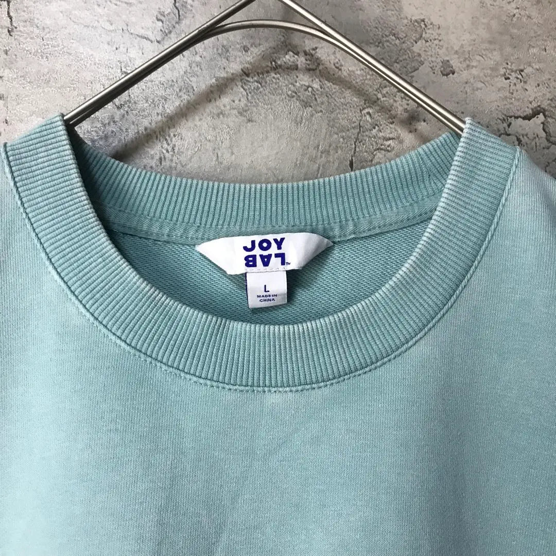 Y3631 Vintage Sweatshirt Sweatshirt Mint Plain 90s Y2K