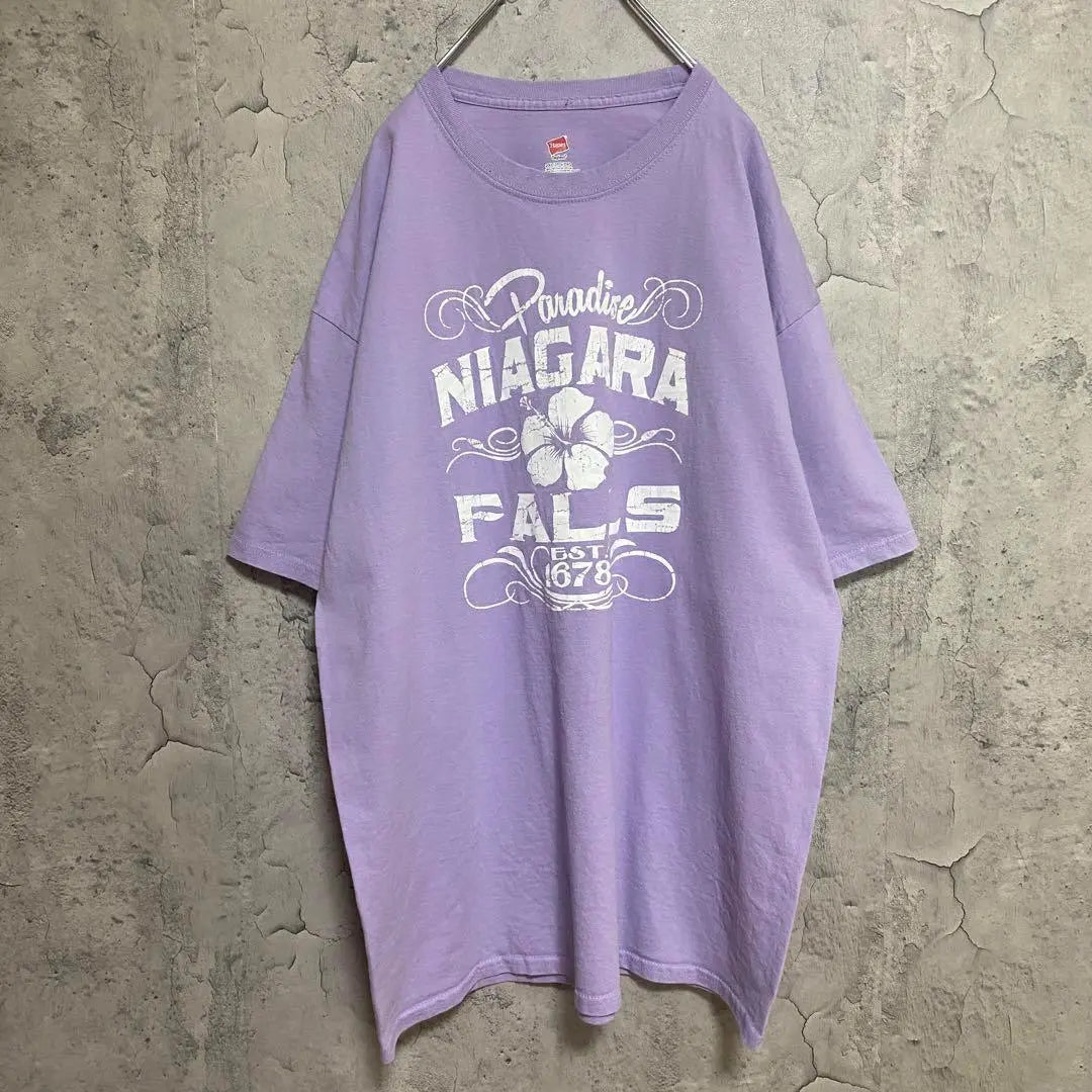 Haines ropa usada Importación americana Camiseta con estampado de las Cataratas del Niágara Manga corta grande | ヘインズ 古着 アメリカ輸入 ナイアガラの滝 プリント Tシャツ 半袖 大きめ