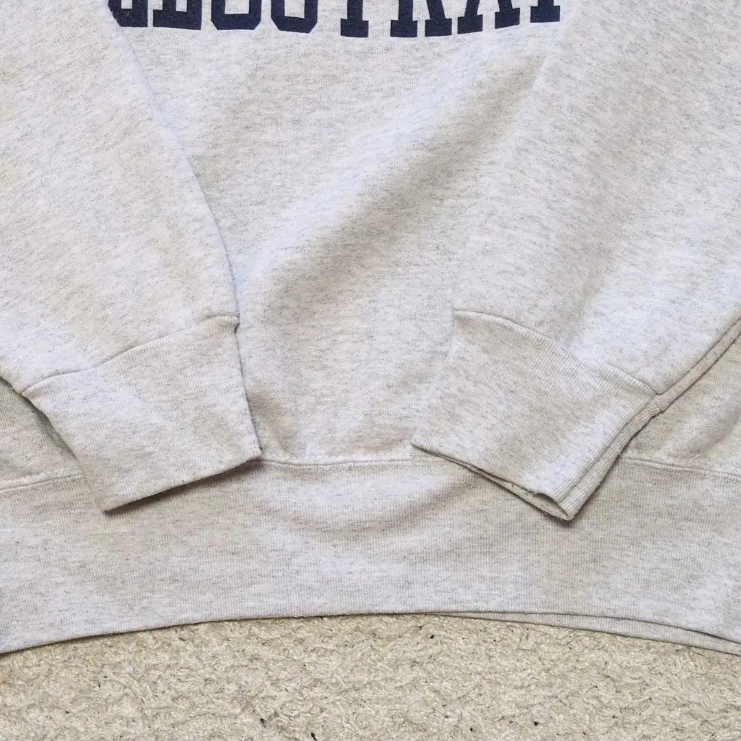 2-50 [Made in USA] 90s Vintage Vintage Fruit of the Room Sweatshirt