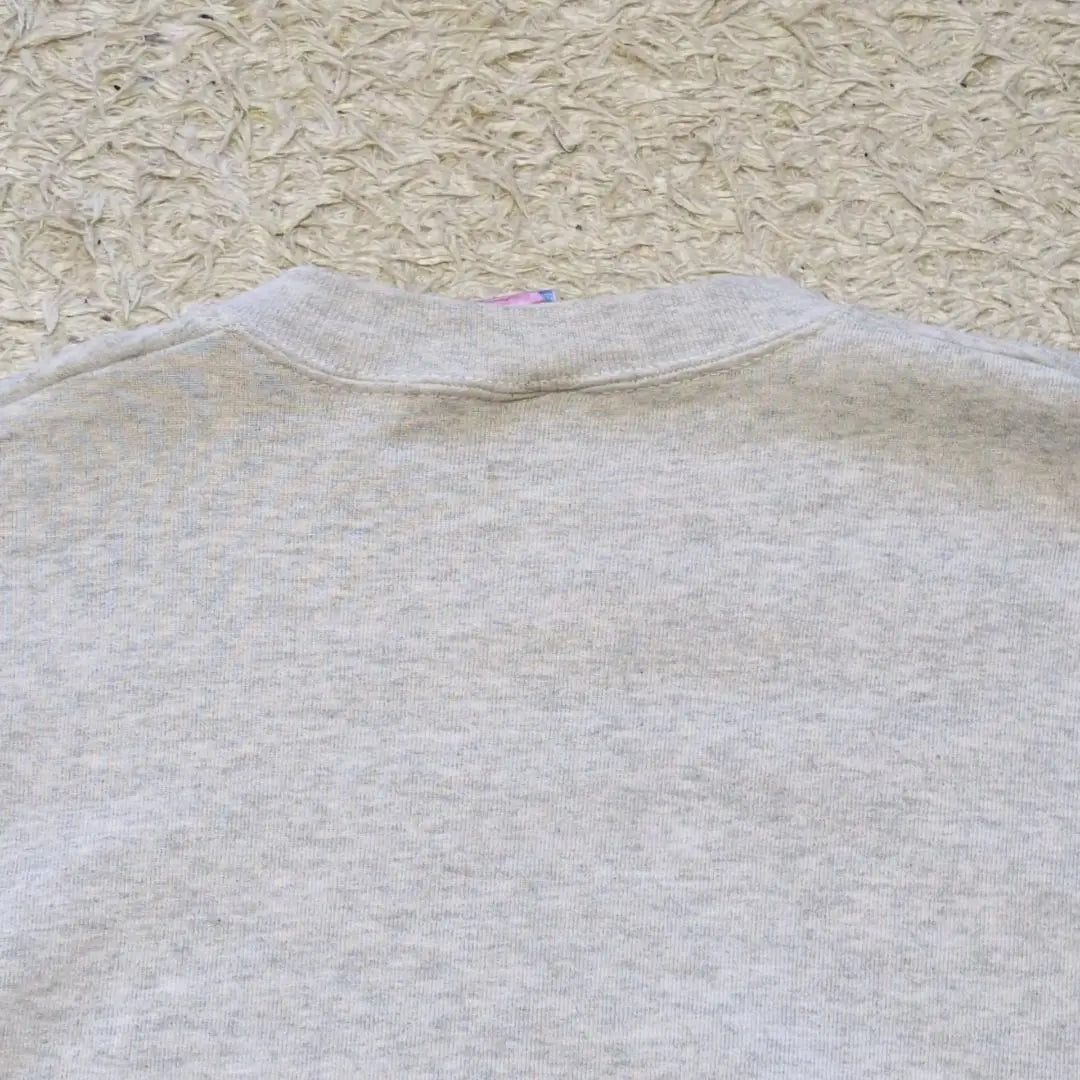 2-50 [Made in USA] 90s Vintage Vintage Fruit of the Room Sweatshirt