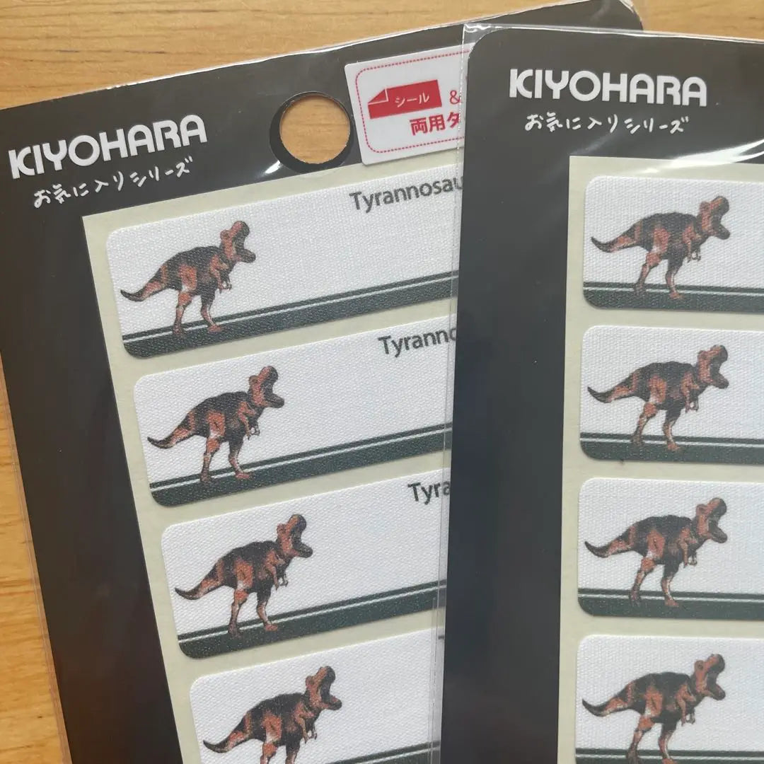 Unused dinosaur name tag set of 6