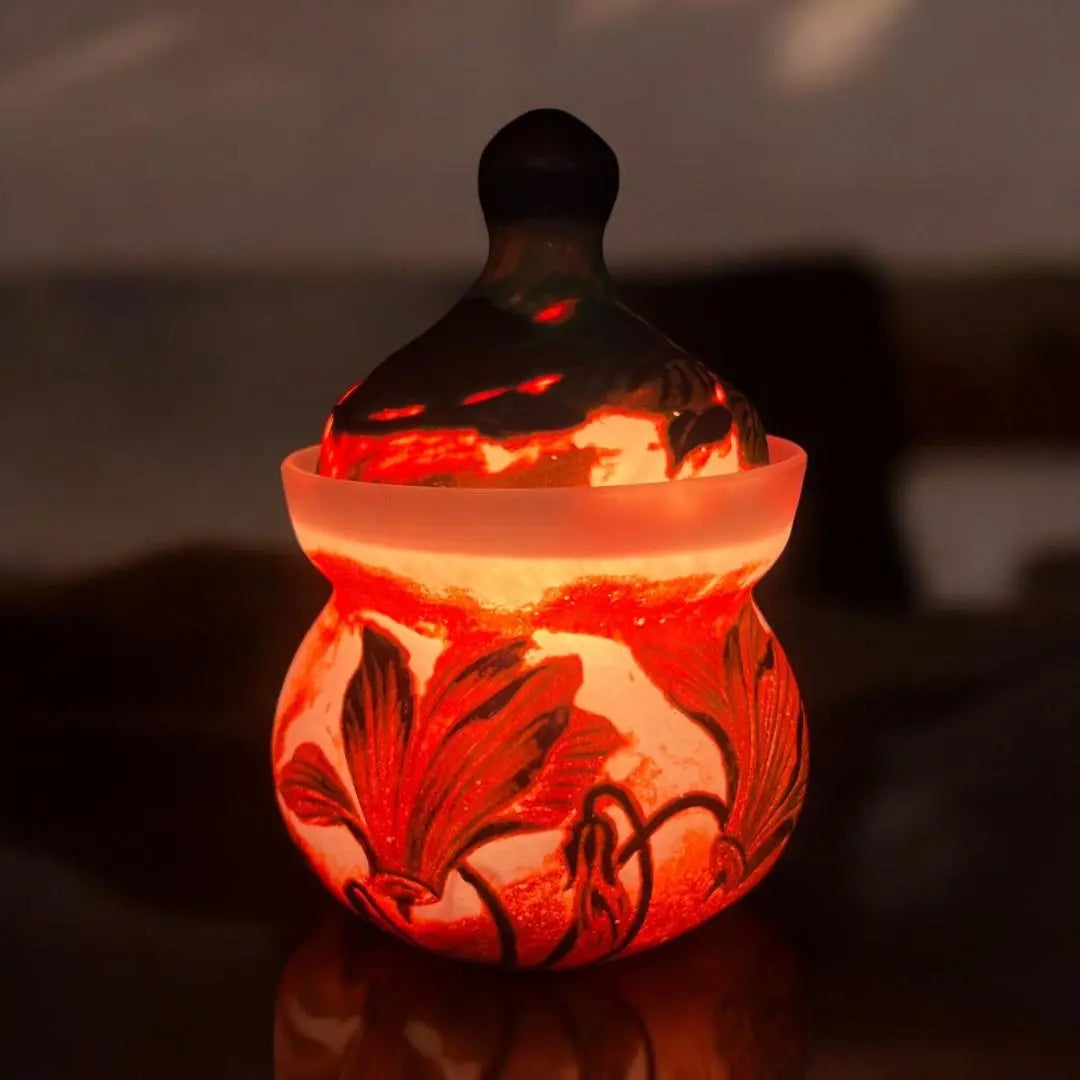 ◆Certificate included◆DaumNancy Dome Nancy Pot-shaped Tabletop Lamp Cameo Carving