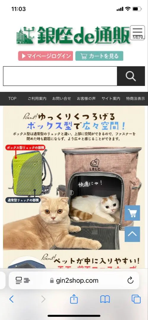 Gray Mesh Window Backpack Pet Carry