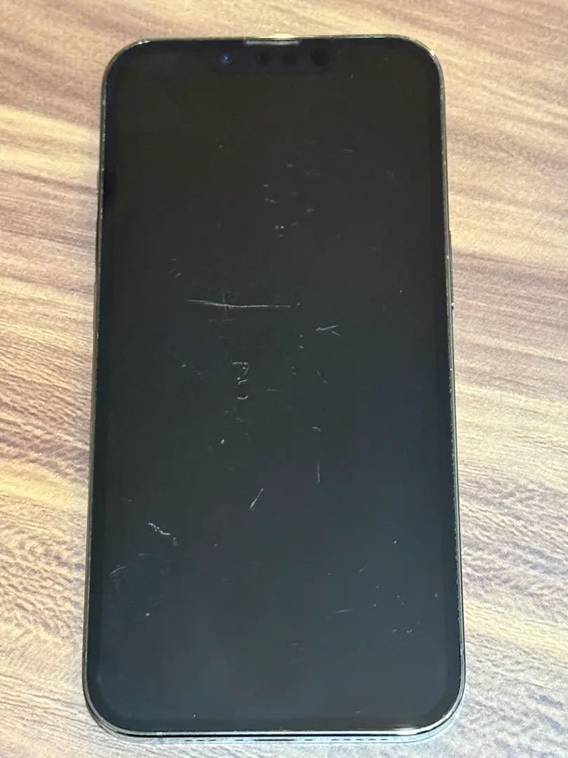 iPhone13Pro 256GB Graphite