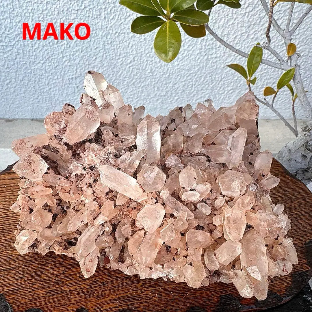 M1560 ☆ Racimo de cristal rosa 2,4 kg ☆ Manican de Manican ☆ N41104-A | M1560☆ピンク水晶クラスター2.4kg☆マニカラン産☆N41104-A