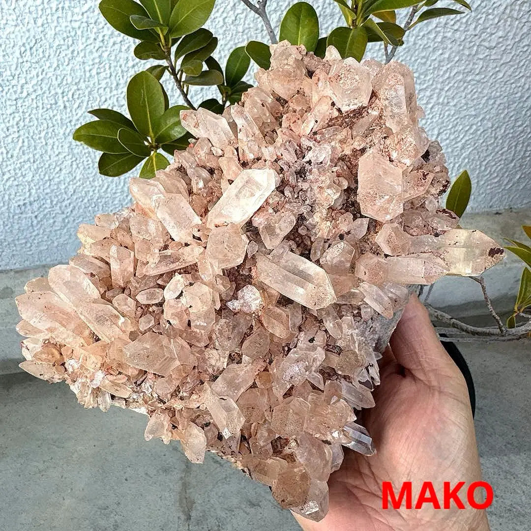 M1560 ☆ Racimo de cristal rosa 2,4 kg ☆ Manican de Manican ☆ N41104-A | M1560☆ピンク水晶クラスター2.4kg☆マニカラン産☆N41104-A