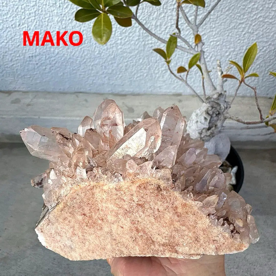 M1560 ☆ Racimo de cristal rosa 2,4 kg ☆ Manican de Manican ☆ N41104-A | M1560☆ピンク水晶クラスター2.4kg☆マニカラン産☆N41104-A