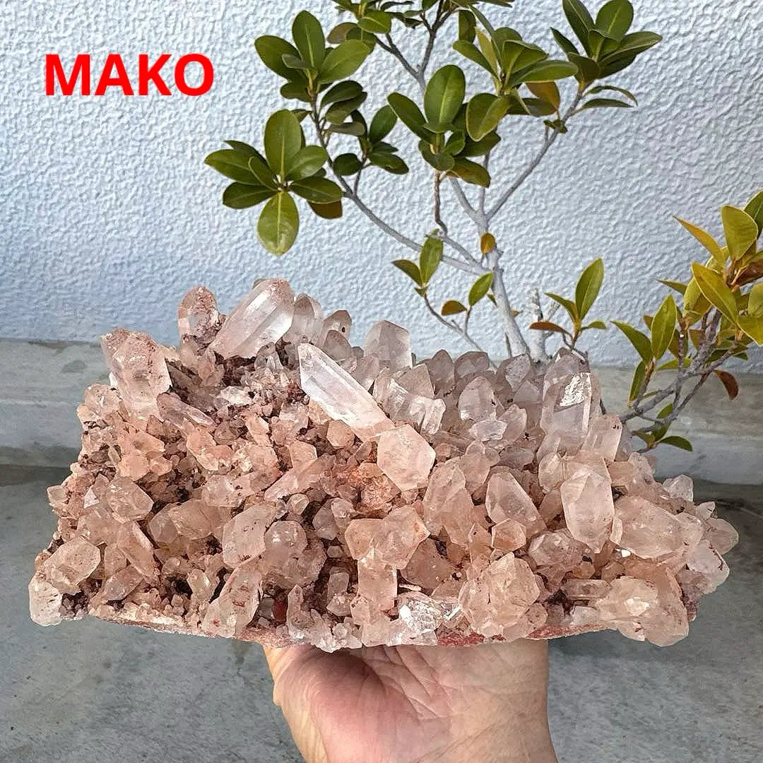 M1560 ☆ Racimo de cristal rosa 2,4 kg ☆ Manican de Manican ☆ N41104-A | M1560☆ピンク水晶クラスター2.4kg☆マニカラン産☆N41104-A