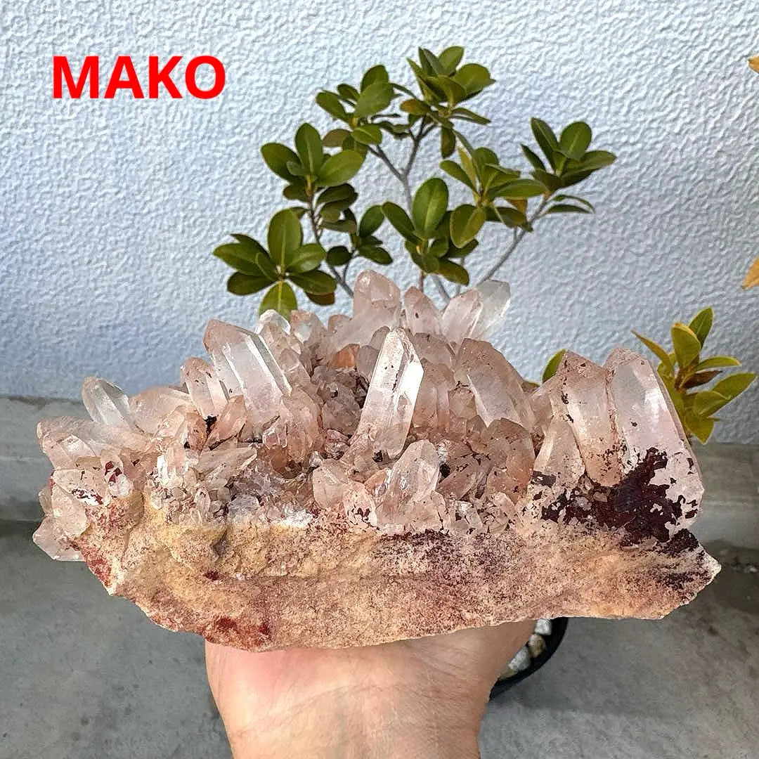 M1560 ☆ Racimo de cristal rosa 2,4 kg ☆ Manican de Manican ☆ N41104-A | M1560☆ピンク水晶クラスター2.4kg☆マニカラン産☆N41104-A