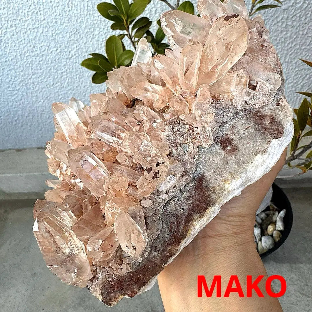 M1560 ☆ Racimo de cristal rosa 2,4 kg ☆ Manican de Manican ☆ N41104-A | M1560☆ピンク水晶クラスター2.4kg☆マニカラン産☆N41104-A