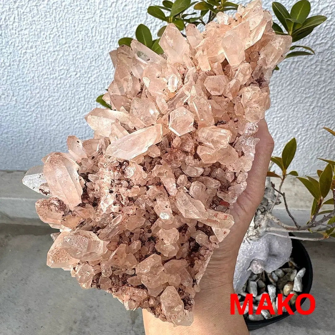 M1560 ☆ Racimo de cristal rosa 2,4 kg ☆ Manican de Manican ☆ N41104-A | M1560☆ピンク水晶クラスター2.4kg☆マニカラン産☆N41104-A