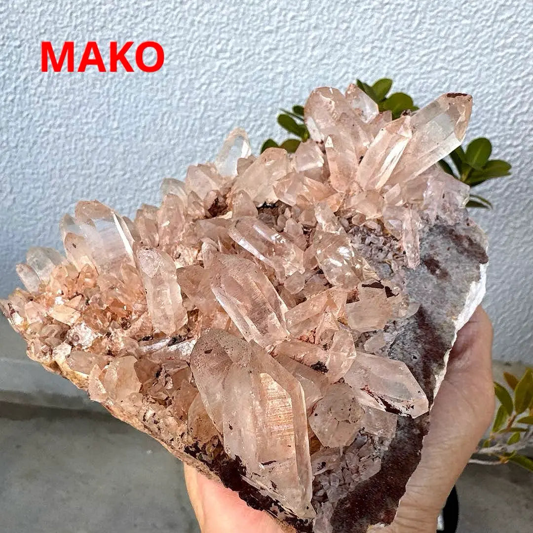 M1560 ☆ Racimo de cristal rosa 2,4 kg ☆ Manican de Manican ☆ N41104-A | M1560☆ピンク水晶クラスター2.4kg☆マニカラン産☆N41104-A