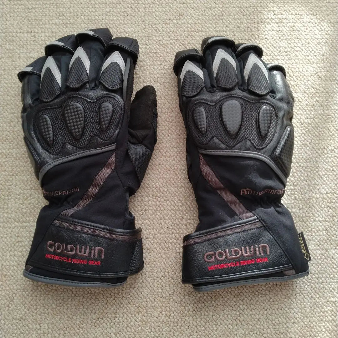 GOLDWIN Winter Gloves M