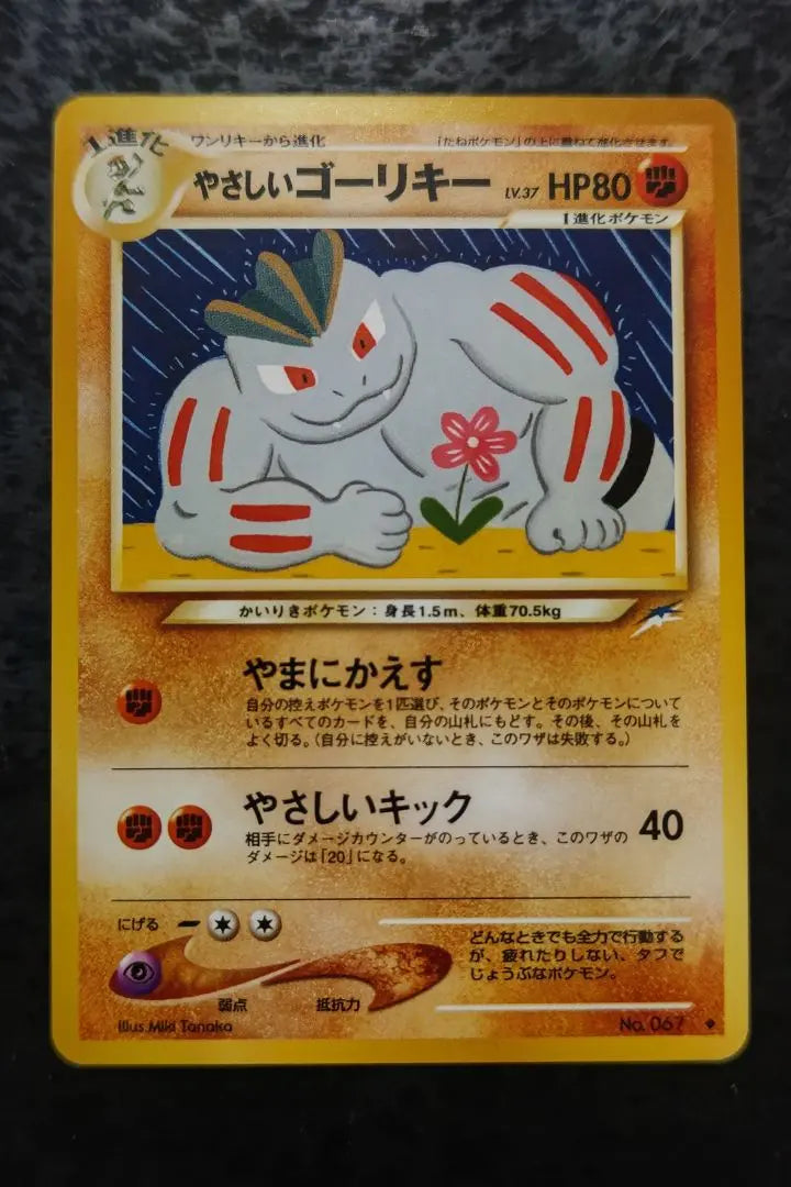 Pokemon Card Easy Goricie Old Back Normal