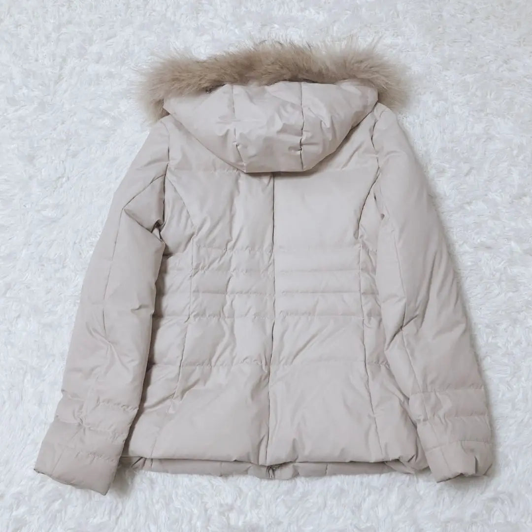 Reflect Down Jacket Court Raccoon Zip -Up -Up Feather | リフレクト　ダウンジャケット　コート　ラクーン　ジップアップ　ダウン　フェザー