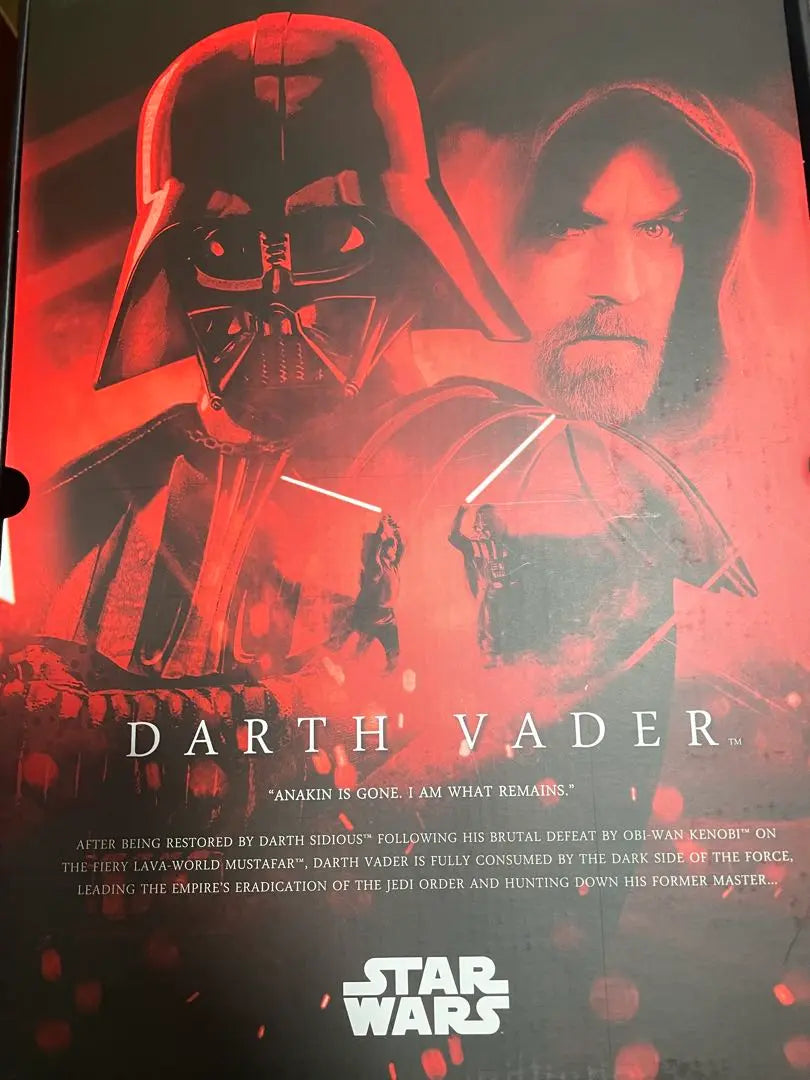 Darth Vader Hot Toys Obi-Wan version DX28 Other than Darth Vader