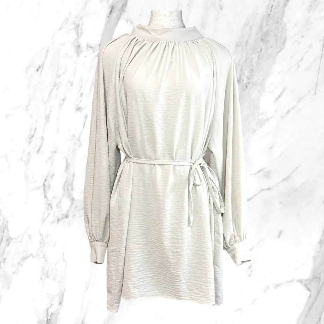 ✨Beautiful item✨ Ambre Neige [F] Tunic blouse