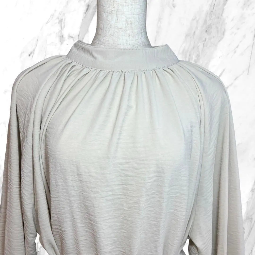 ✨Beautiful item✨ Ambre Neige [F] Tunic blouse