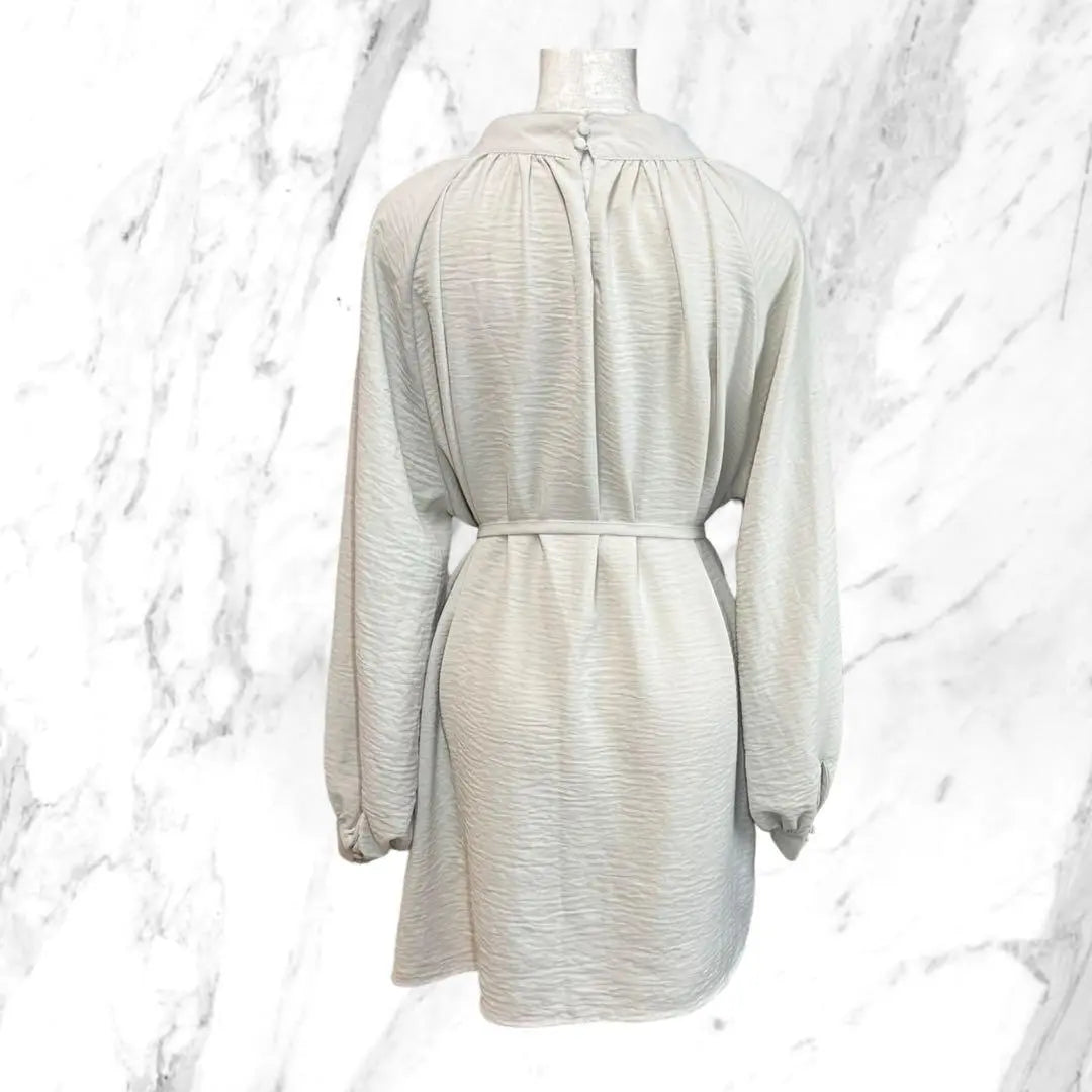 ✨Beautiful item✨ Ambre Neige [F] Tunic blouse