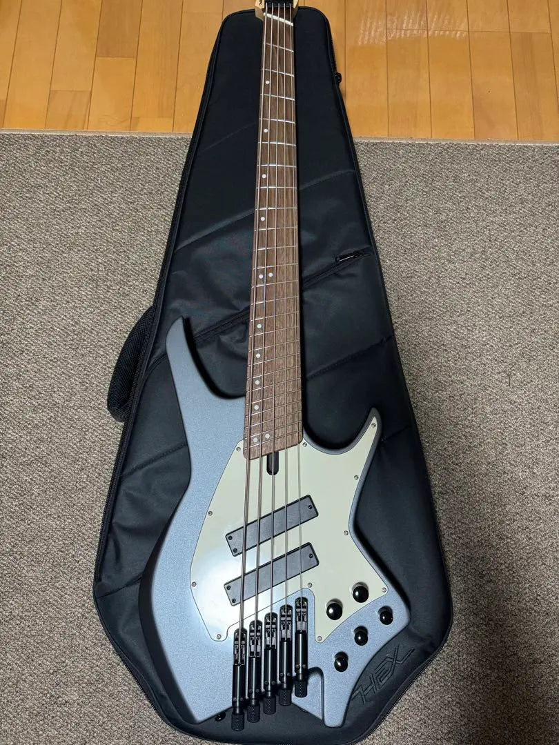 HEX Guitars / NB505 Gunmetal Gray 5-string bass