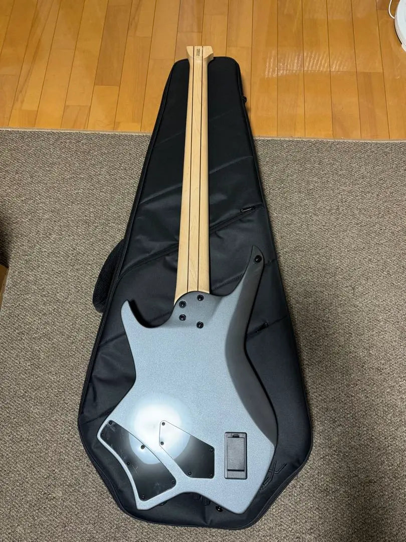 HEX Guitars / NB505 Gunmetal Gray 5-string bass