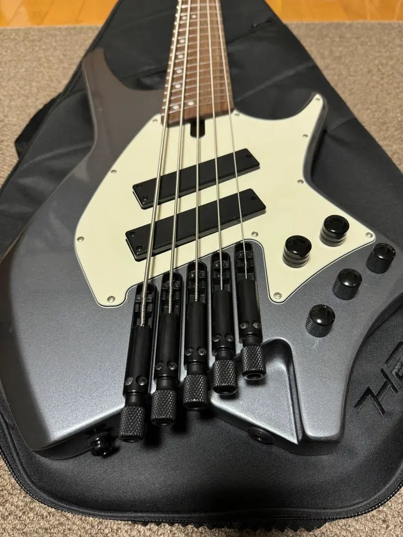 HEX Guitars / NB505 Gunmetal Gray 5-string bass