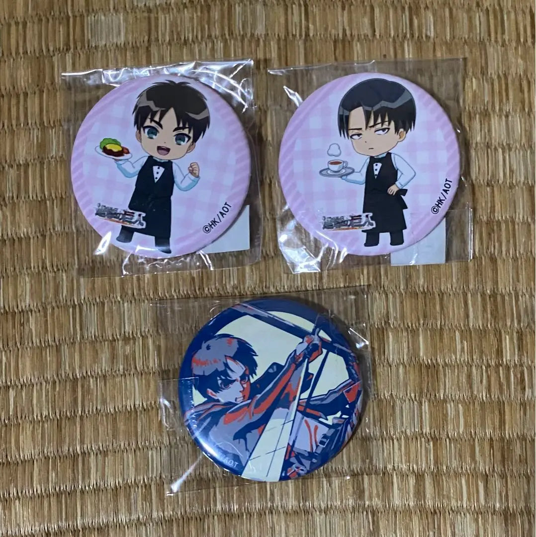 Attack on Titan Levi Eren Can Badge 3-piece set