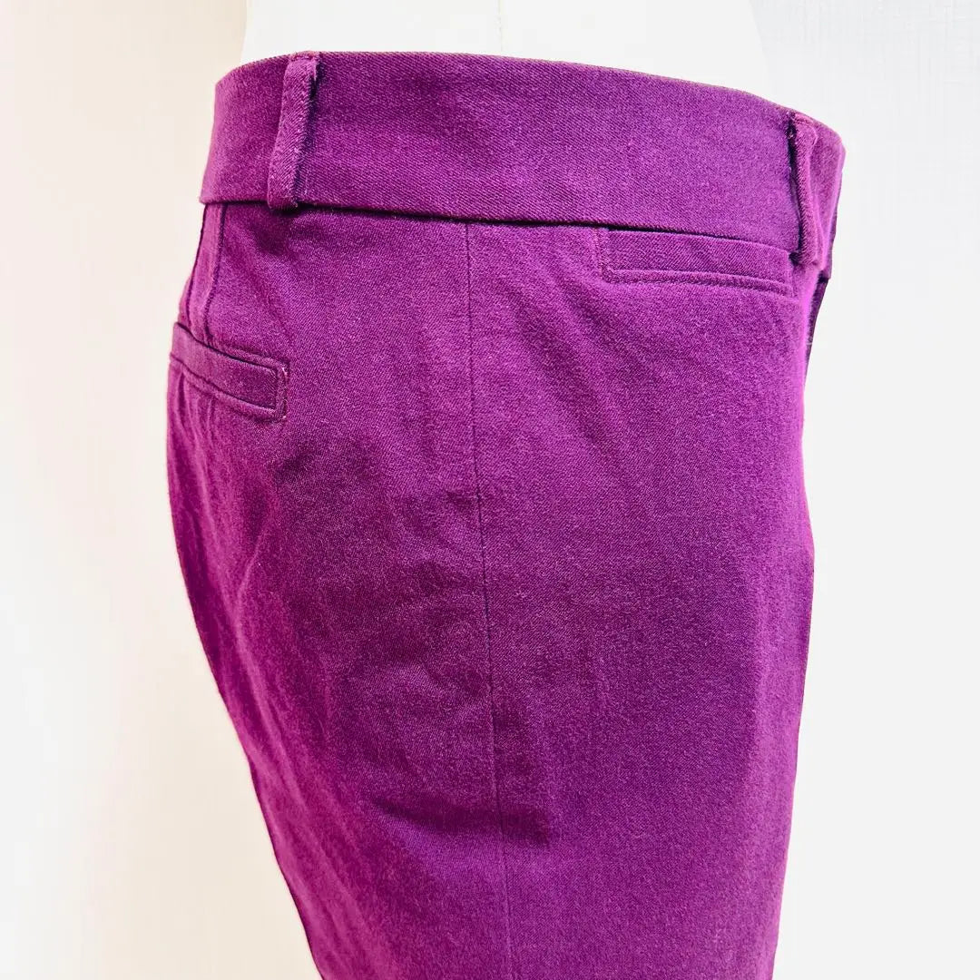 Banana Republic Sloan Fit Beautiful Leg Stretch Pants Ankle Length