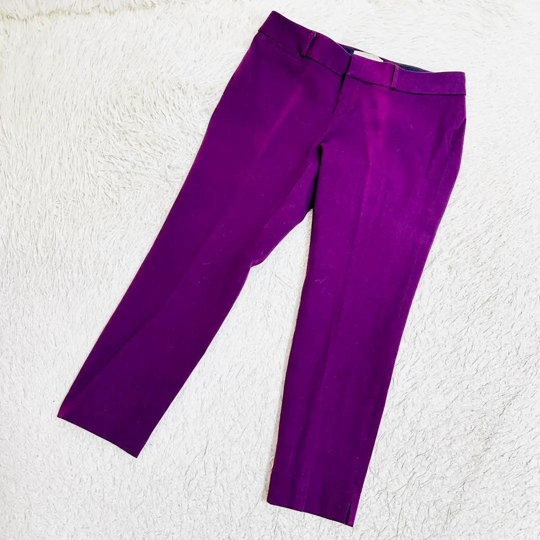 Banana Republic Sloan Fit Beautiful Leg Stretch Pants Ankle Length