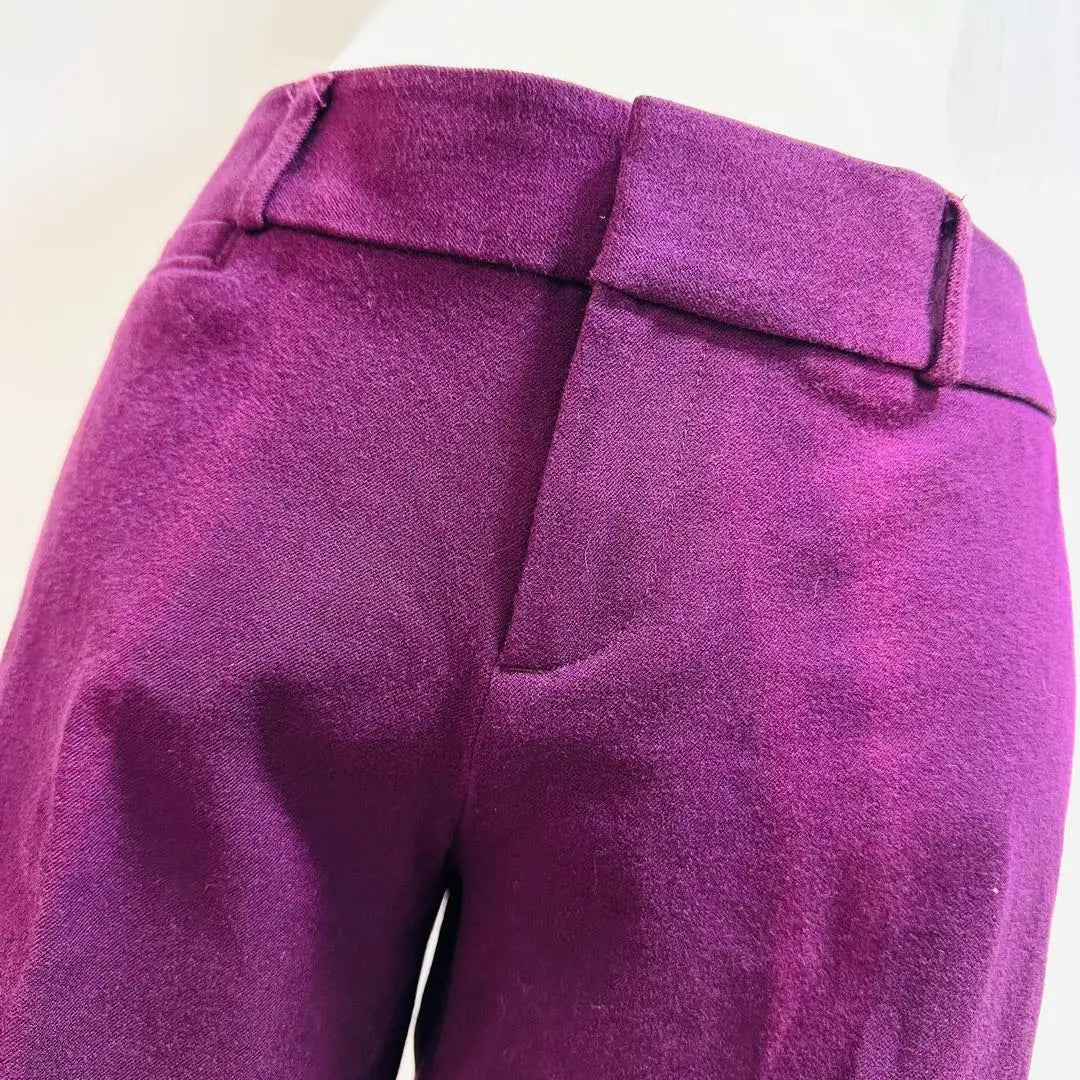 Banana Republic Sloan Fit Beautiful Leg Stretch Pants Ankle Length