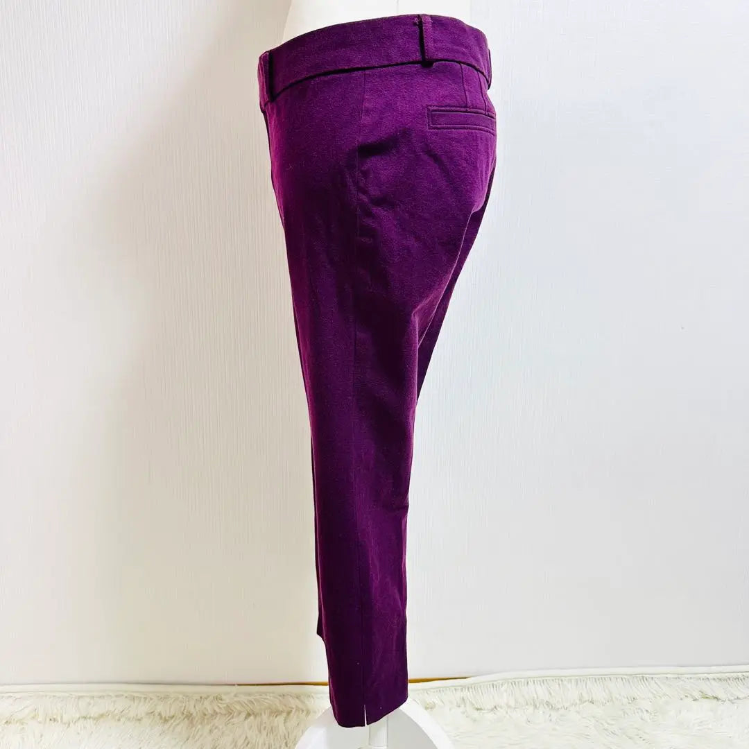 Banana Republic Sloan Fit Beautiful Leg Stretch Pants Ankle Length