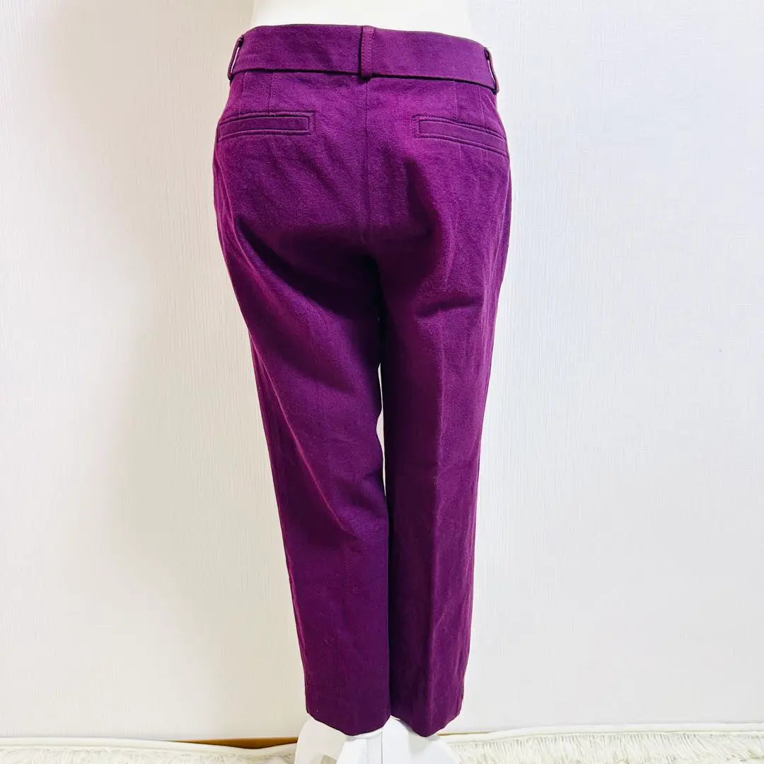 Banana Republic Sloan Fit Beautiful Leg Stretch Pants Ankle Length